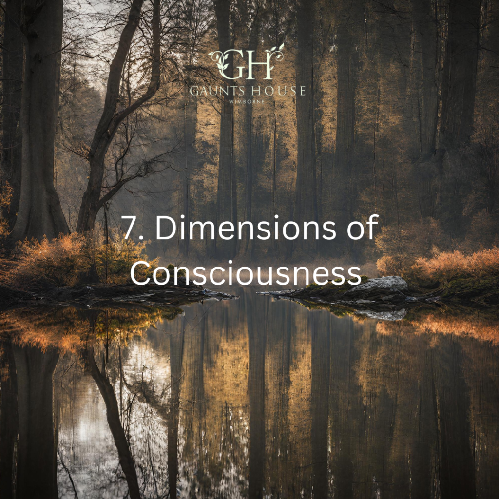 Dimensions of Consciousness. 18nov23. - Gaunts House